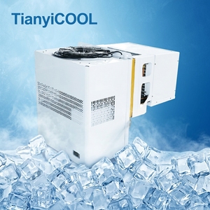 Unité Monobloc Électrique Vert TianyiCOOL avec Dégivrage à Gaz Chaud R290 <span class=keywords><strong>R404A</strong></span> R448A <span class=keywords><strong>R449A</strong></span> pour Chambre Froide - Product Image 1