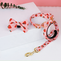 Ensemble de gilet pour chien personnalisé en maille respirante de qualité pour la course et la marche, motif floral, accessoires pour animaux de compagnie, collier, laisse et harnais personnalisés