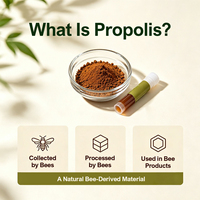 Poudre d'ingrédient de propolis d'abeille BEEHALL pour les marchés internationaux de l'alimentation et des compléments alimentaires