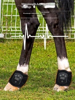 Lampe de luminothérapie rouge en forme de fer à cheval pour la physiothérapie équine, appareil sans fil avec soutien intensif pour l'exercice