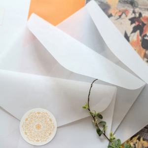 Enveloppes d'affaires vierges colorées, en velours, pour carte d'invitation de mariage, remise de diplôme, vente en gros, 50 pièces - Product Image 5