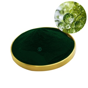 איכות גבוהה אורגני ספירולינה כלורלה כלורלה תוספי תזונה כלורלה וולגרי אבקת בתפזורת - Product Image 2