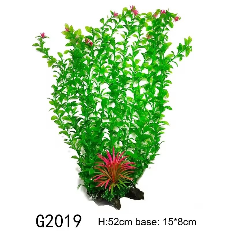 G2019