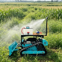 Mesin Pemotong Rumput Robot ATV Pintar Anti-Selip Murah Bersertifikasi CE EPA dengan Pengontrol Jarak Jauh dan Penyemprot