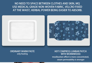 Produits chauds très populaires OEM ODM disponible USA Entrepôt patch lombaire à compresse chaude - Product Image 5