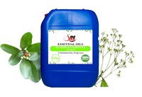 Huile Essentielle Végétale Pressée à Froid en Gros, Issu de Graines, Pureté 100%, Matière Première Parfumée pour Produits de Beauté, Parfums, ODM, OEM