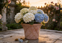 Pots vintage en terre cuite à motif en relief en treillis, ronds, pour arbustes fleuris, ornement de jardin