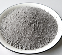Poudre de microsilice SiO2 de haute pureté 92% 200 Mesh Exportation spéciale Fumées de silice pour le mélange de béton