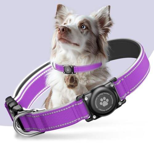 องุ่นสีม่วง