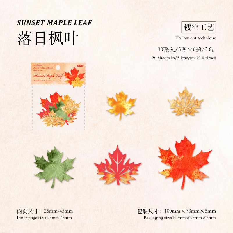 F Sunset Maple Leaves