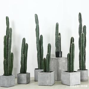 Artificial Cactus plants