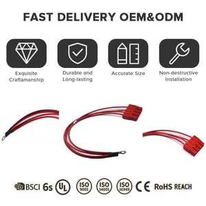 Energiespeichersystem ESS Signal DC-Stromversorgung Kupfer-Kabelbaum PVC/Nylon CAN-Bus-Kommunikation Gummischutz für Automobile - Product Image 4