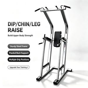 Station de musculation autonome professionnelle pour tractions, levées de jambes et dips, idéale pour studio de fitness et club de sport - Product Image 1