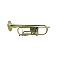 SEASOUND OEM High Quality BB Tone Rotary Brass Trompeta JYTR411 Lacquer and Gold Surface Trumpet