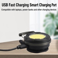 Mini Linterna LED de Llavero Recargable Tipo C, 44g, Luz de Trabajo de Bolsillo para Camping, Paseo de Perros, Reparación de Autos, Iluminación de Emergencia
