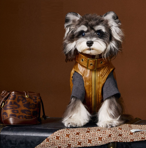 Ropa para perros Traje de invierno Schnauzer Oso de peluche Bichon Frise Moderno de lujo Ecológico Chaleco de cuero sin mangas - Product Image 2