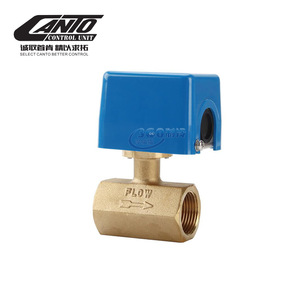 CANTO LKB-01D Interrupteur de débit bidirectionnel en laiton, contrôleur, pièces de réfrigération - Product Image 4