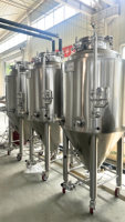 Cuve de Fermentation Conique de 250L pour Bière avec Enveloppe de Refroidissement à Glycol à Vendre