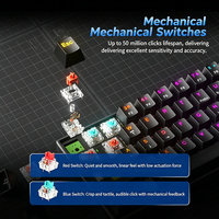 Blue Switch Gaming Keyboard 60% Compact 61 Keys PBT Material USB Type-C Wired Rainbow Backlit Mechanical Keyboard for Desktop