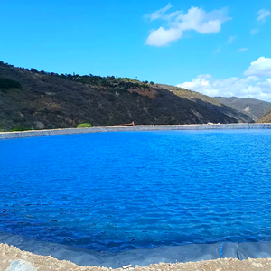 Vente flash : géomembrane HDPE renforcée en polyéthylène noir pour bassins, piscines à poissons/koi, bassins de jardin/bassins d'irrigation - <span class=keywords><strong>prix</strong></span> compétitif - Product Image 4