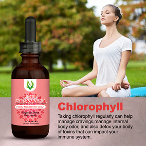 4-in-1 Detox Support Liquid Chlorophyll from Mulberry Leaf with Peppermint Digestive Detox Energy Boost Internal Cleanse Drops - Product Image 3