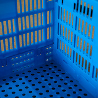 Boîtes pliables de stockage alimentaire en plastique pour tomates Boîte à raisins Caisse personnalisée en plastique PP pliable en maille bleue