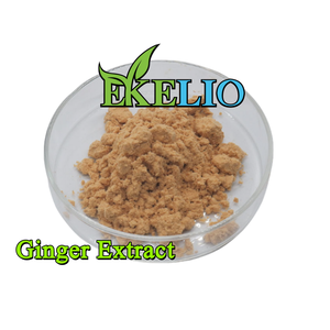 100% 水溶性姜辣素1% 姜根粉生姜提取物粉 - Product Image 2