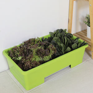 Maceta Clásica de Estilo Orgánico Verde, Ligera, de Plástico, para Balcón, Jardín, Interior, Decoración del Hogar, Personalizable, Plafarm - Product Image 6