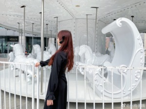 <strong>Carousel</strong> Kids <strong>Playground</strong> Equipment, Indoor &amp; Outdoor Electric <strong>Carousel</strong>, Custom Theme Amusement Rides - Product Image 6