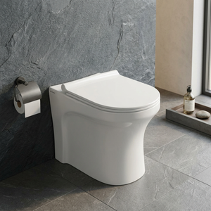 โถสุขภัณฑ์แบบตั้งพื้นทรงยุโรป รุ่น EWC S Trap แบบอินเดีย - Product Image 6