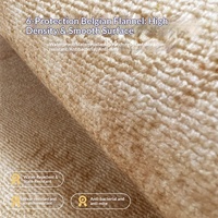 Nouveau tapis d'entrée en velours fin de style chinois, personnalisable, tissé à la machine, résistant à la saleté, lavable, antidérapant, pour animaux de compagnie