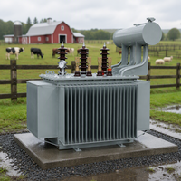 Transformateur de puissance immergé dans l'huile triphasé S20 500 kVA à trois enroulements 50 Hz 60 Hz pour distribution et usage agricole