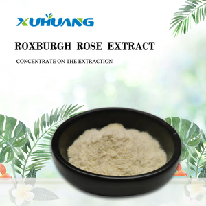Superoxidodismutasa (SOD) Natural de Rosa Roxburgh 150000u/g - Product Image 2