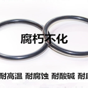Fep Coated O Ring <b>PTFE</b> Encapsulated High Temperature Resistant For Industrial Sealing - Product Image 2