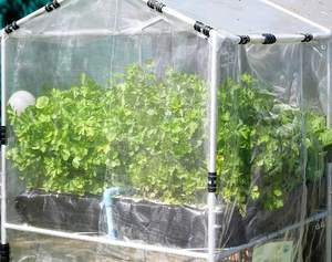 Mallas antitrrips 50x25 حصان (hilos Por Pulgada) - Product Image 3