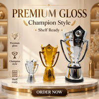 Trophée de championnat de football personnalisable en stock, gravé avec le nom de l'équipe, récompense 1ère place tournoi de football, souvenir
