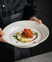 Nouvel Arrivage Assiette de Table Haut de Gamme en Céramique à Bord Large et Profond, Plat de Service Polyvalent pour Plats Mijotés, Plats Froids et Pâtes