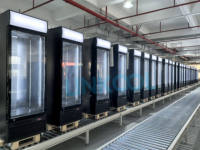 Congélateur vertical à porte unique, vitrine de présentation pour aliments surgelés et glaces, congélateur commercial à refroidissement par ventilateur pour supermarché et magasin