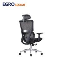 EGROspace Solutions de Bureau Tout-en-un, Chaise de Bureau Ergonomique Pivotante Confortable en Maille pour Cadres