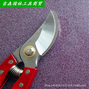 Cisailles de taille Ichiro Yoshikawa 20-30 mm à coupe latérale pour arbres fruitiers, manche en plastique rouge, lame manuelle en acier au carbone - Product Image 4