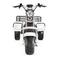 Tricycle à trois roues pour adulte Trike, Scooter électrique à 3 roues 2000w Fat, vélo de ville électrique