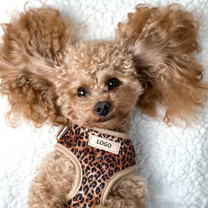 2025 Popular Cute Bowtie with Poop Bag Eco-Friendly Polyester Floral Pattern Pet <strong>Collar</strong> and <strong>Lead</strong> Soft Velvet <strong>Dog</strong> Harness - Product Image 5