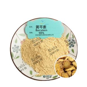 อาหารเสริมสมุนไพรไบคาเลอิน สารสกัดจากพืชธรรมชาติ สารสกัดจากรากสมุนไพรสกุตเทลลาเรีย ไบคาเลนซิส ผง 98% ไบคาเลอิน - Product Image 2