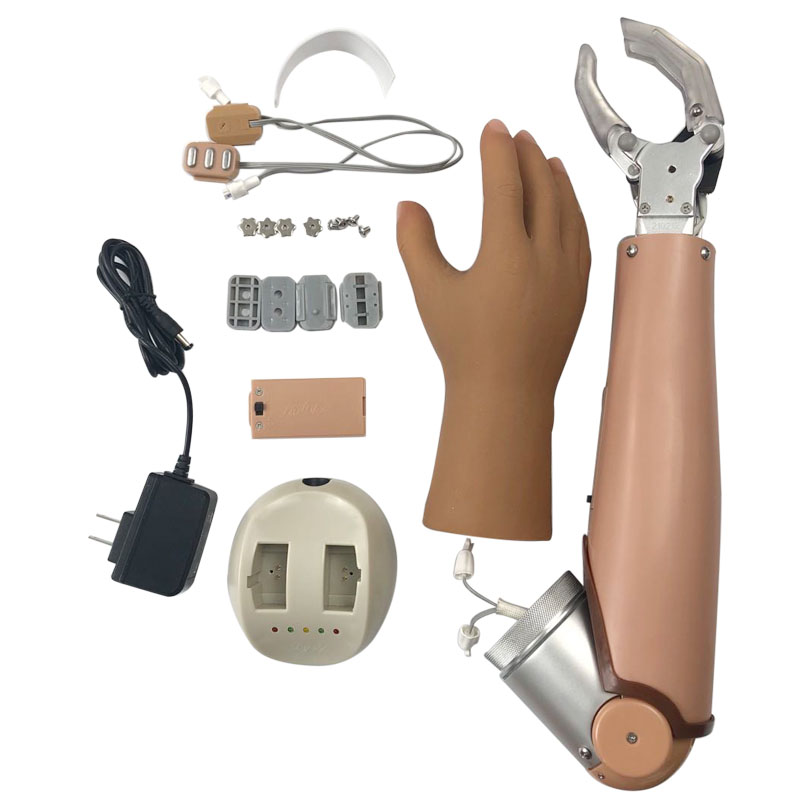 Disabled Prosthetic Arm Arm Elbow Two