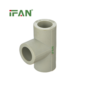 Raccords de tuyauterie PPR anti-corrosion IFAN, bouchons de raccordement pour tuyaux d'eau PPR - Product Image 4