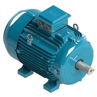Moteur WEG triphasé basse tension série W20 haute performance 4 kW