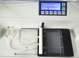 Pasokan Pabrik Cina <span class=keywords><strong>Elisa</strong></span> Washer Microplate Washer untuk Penggunaan Laboratorium - Product Image 3