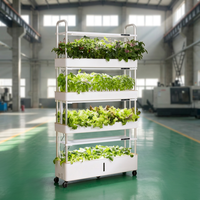 Système de jardinage vertical hydroponique intelligent d'intérieur avec 4 couches d'irrigation aéroponique, lampes de culture LED TSP 210 et pompe à eau automatique