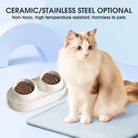 Vente en gros de bols doubles en céramique inclinés pour chats, protection du cou, anti-vomissement, distributeur de nourriture et d'eau surélevé pour chats et chatons