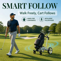 Nouvelle Voiturette de Golf Électrique Intelligente 2026 en Gros, Chariot de Golf Portable Pliable à Suivi Automatique par Télécommande pour Utilisation Extérieure OEM ODM